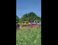 Woman in a bikini lie down on the hood of the buggy