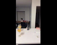 Cork pops off hits roof cup