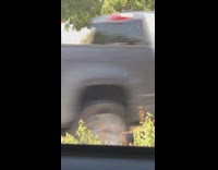 Man green bonnet exit car shopping bag