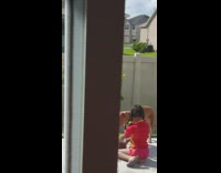 Dog will not drink water from bowl