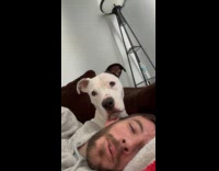 Dog stretching over hoomans head 