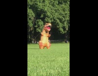 Inflatable dinosaur costume throws frisbee ring park