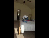 Cat shows teeth window