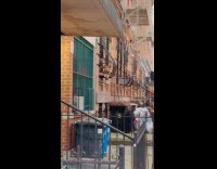 Two dogs on window railings near sidewalk