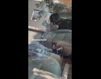 Pigeon sits inside parked car 