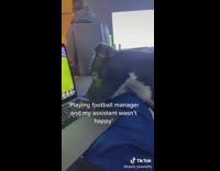 Dog presses buttons on laptop to play football manager