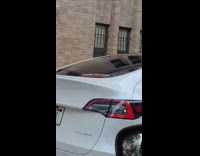 Sticker against Elon on tesla car street