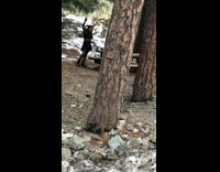 Girl jester costume skirt wood picnic table 