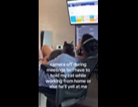 Man in online meeting has camera off holding cat 