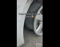 Ex girlfriend take whole car tire