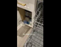 Woman toxic trait throw plastic containers in cabinet