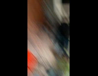 Bee on Table Flies to Man then Shakes it Off