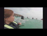 Sea lion swims near the woman and slaps her