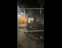 Guy walks inside building full of chickens