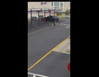 Skater woman falls down and drops stuff