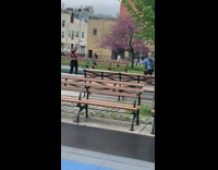 Woman red crop top dance exercise bench park