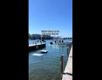 Woman got truck submerged into sea 