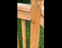 Dragonfly waves back at woman 