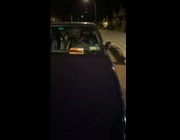 Car with parking ticket USALTY vanity plate 