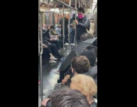 Lady riding subway uses open umbrella as blanket 