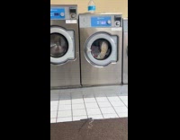 Collab WINY - Shoes, clothes and dish containers inside washing machine