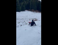 Man try to sledge fails falls multiple times