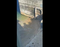 Collab IITW - Man removes top dances by the beach Part 1