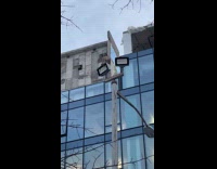 Hawk holds mouse on the lamppost light