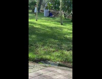 Woman blue dress lay grass young girl