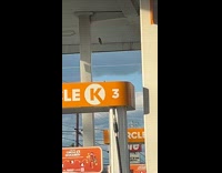 Bird accidentally hangs self at gas station 
