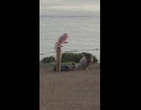 Golden gate bridge tourists take photos