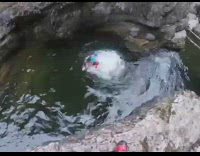 Three people jump and dives into the canyon water