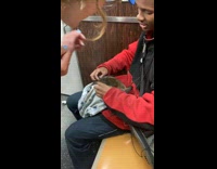 Collab winy - Man ride train with pet baby kangaroo