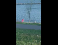 Man pink formal attire video shoot timer seaside