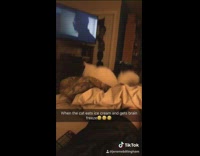 Collab VIBES - Cat gets brain freeze from eating ice cream