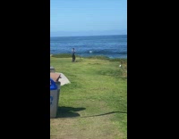 Collab IITW - Man sweater tiktok dance near beach cliff