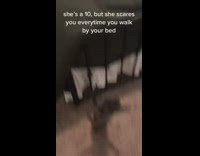 Kitten hiding under bed jumps and scares owner 