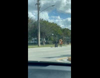 Person jogs with a mascot on the sidewalk