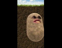 Girl potato filter French fry 