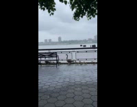 Family of geese walking at liberty state park