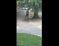Man shirtless practice kicks on the tree