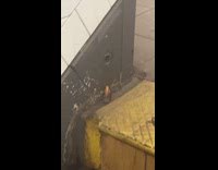 Collab WINY - Cockroach carries cigarette butt on the subway