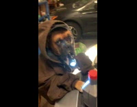 Dog holding flashlight for owner car 