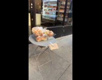 Free bagels on table outside bagel store