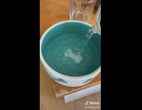 Collab Clips mpugc - Guy opens green soda dog