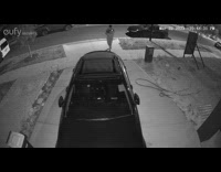 Guy pickup cat and went home  footage