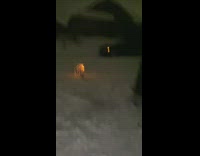 Girl lights firework on snow runs away