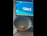 Guy egg in pan on laptop sims 4