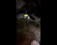 Collab WeirdM - Man Jumps Across Rapids and Falls Off