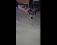 Cat riding a box around the floor